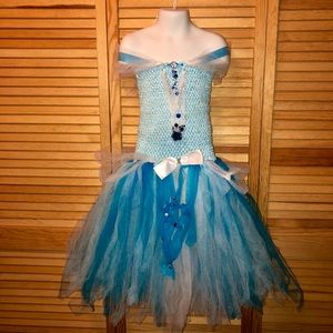Cinderella Tutu Dress